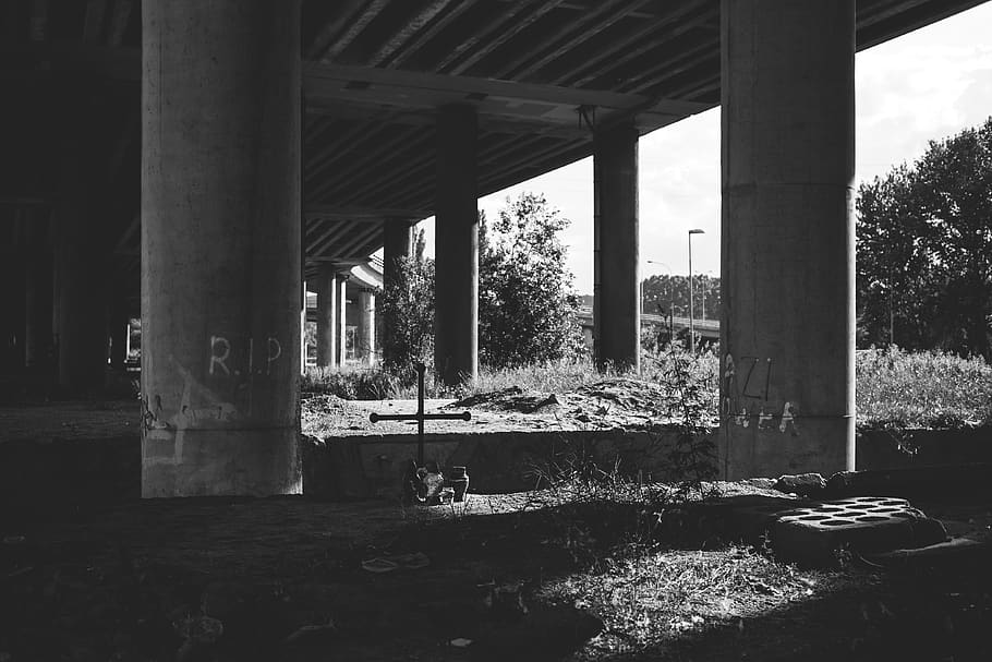 arquitectura, infraestructures, pont, autopistes, missatges, bigues, arbres, blanc i negre, línies, estructura construïda, columna arquitectònica, cap gent, dia, naturalesa, arbre, planta, aigua, pont - estructura feta per l'home, a l'aire lliure, connexió, abandonat, transport, baix, exterior de l'edifici, vell, 4K