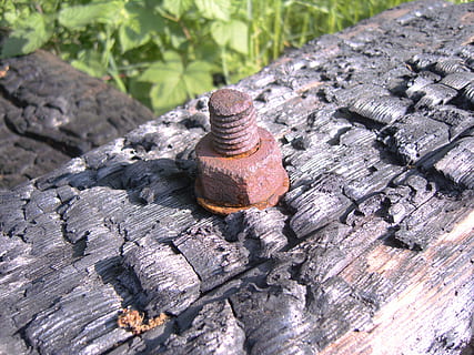 Rost, Eisen, Feuer, verbrannt, Schraube, Faden, Mutter, Holz - Material, Tag, keine Leute, texturiert, Nahansicht, Fokus auf den Vordergrund, draußen, Natur, Metall, Bolzen, Sonnenlicht, High Angle View, Nuss - Verschluss, Baum, rostig, selektiver Fokus, solide, Muster, Stillleben, Nagel, Borke, 2K, CC0, gemeinfrei, lizenzfrei
