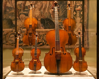 Vitrina, violins, violas, viol, instrument musical, música, instrument de corda, violí, equipament musical, material de fusta, cultura i entreteniment artístic, cadena, cap gent, música clàssica, marró, corda d’instruments musicals, violoncel, natura morta, a l'interior, dia, centrar-se en primer pla, en fila, primer pla, fet per l'home, 2K, CC0, domini públic, lliure de regalies