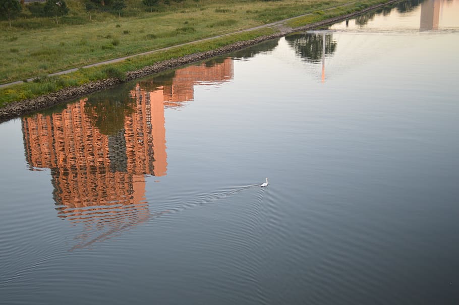 mannheim, neckar, reflexió de l’aigua, aigua, reflexió, tranquil·litat, davant del mar, naturalesa, cap gent, dia, llac, bellesa a la natura, escena tranquil·la, vista d’angle alt, planta, escenics - natura, arquitectura, arbre, a l'aire lliure, transport, estructura construïda, 5K