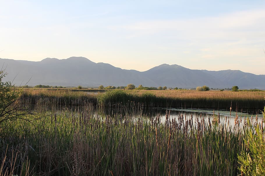 bjerge, cache valley, marsk, bjerg, scenics - natur, plante, skønhed i naturen, himmel, ro, rolig scene, vækst, landskab, vand, græs, Mark, natur, ingen mennesker, bjergkæde, jord, miljø, ikke-urbane scene, landlige scene, udendørs, sump, 5K