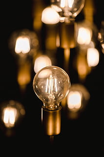 gloeilamp, licht, lamp, verlichting, gloed, koplamp, licht armatuur, glas, beker, neon-, college, lampekap, hand-, schitteren, toorts, masker, dier, buizerd, havik, vogel, verlichtingsapparatuur, verlicht, binnenshuis, geen mensen, elektriciteit, focus op de voorgrond, detailopname, glas - materiaal, elektrisch licht, gloeiend, opknoping, in een rij, elektrische lamp, nacht, gloeidraad, licht - natuurverschijnsel, brandstof en stroomopwekking, warmte - temperatuur, zwarte achtergrond, helderheid, 5K, CC0, publiek domein, royaltyvrij