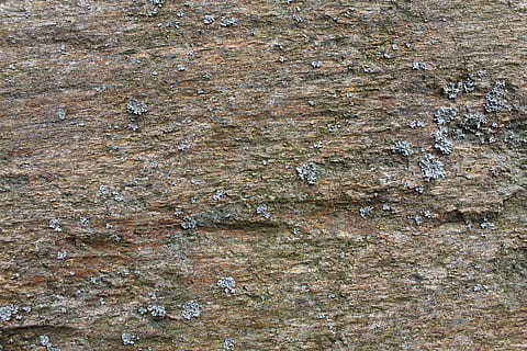piedra, textura, fondo, modelo, antecedentes, fotograma completo, texturizado, nadie, de cerca, áspero, pared - característica de la construcción, día, al aire libre, pared, estructura construida, erosionado, naturaleza, marrón, tronco de arbol, sólido, material de madera, árbol, planta de corteza, suelo de baldosas, efecto texturizado, 5K, CC0, dominio público, libre de derechos