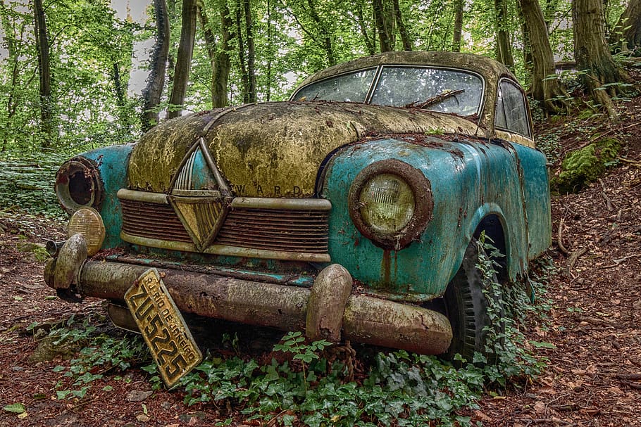 oldtimer, llocs perduts, vell, decaïment, automàtic, òxid, escultures de cotxes, podridura, cementiri del cotxe, ferralla, abandonat, arbre, obsoleta, terra, manera de transport, rovellat, automòbil, transport, espatllat, bosc, cotxe, aixafar, resistent, deteriorament, declivi, planta, metall, dia, vehicle terrestre, cap gent, a l'aire lliure, arruïnat, 5K