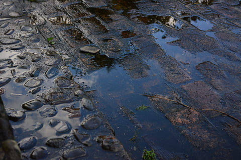 regn, dam, murstein, vann, natur, våt, høy vinkel visning, ingen folk, dag, bakgrunn, utendørs, refleksjon, full ramme, miljø, forurensing, fast, krokodille, vannkanten, virveldyr, skitt, stein, søle, sump, 5K, CC0, offentlig domene, opphavsrett gratis