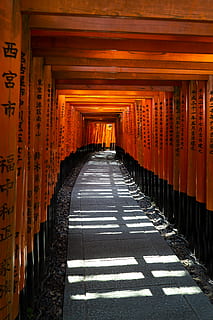 tom gang, asfalt, korridor, vej, Port, torii, bygning, arkitektur, smartphone tapet, smartphone baggrund, tapet, japan, Kyoto, fushimi inari, rød, orange, porte, tori, fushimi-inari, kanji, retning, vejen frem, bygget struktur, i en række, religion, tro, arkitektoniske kolonne, sted for tilbedelse, spiritualitet, ingen mennesker, ikke-vestlige script, tom, tekst, faldende perspektiv, meddelelse, rejsemål, orange farve, helligdom, 4K, CC0, offentligt domæne, royaltyfrie