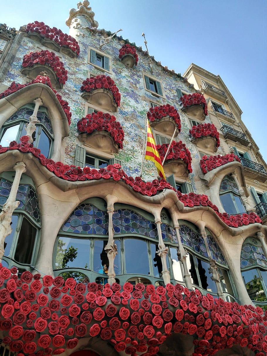 façana, edifici, construcció, estructura, arquitectura, disseny, urbà, barcelona, ciutat, vidre, reflexió, cel, treballar, blau, gris, negre, assolellat, brillantor, finestres, vermell, bandera, bandera catalana, senyera, roses, flors, modernisme, gaudi, vitrall, columnes, casa batlló, balcons, balconeras, brilli, bandera vermella de la bandera catalana, estructura construïda, vista d’angle baix, exterior de l'edifici, finestra, dia, cap gent, naturalesa, cel clar, a l'aire lliure, arc, barri residencial, patró, planta, flor, planta amb flors, ornamentat, motiu floral, 4K