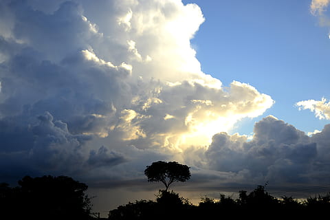 storm, regnmoln, moln, sol, flygande, solsken, himmel, skön, moln i solen, moln - himmel, träd, skönhet i naturen, växt, scenics - natur, lugn, silhuett, lågvinkelvy, natur, lugn plats, inget folk, utomhus, tillväxt, dag, idyllisk, icke-urbana scenen, solljus, solnedgång, trädtopp, 5K, CC0, offentligt domän, royaltyfria