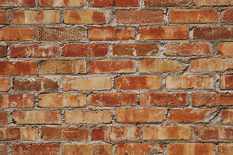 maroon brick surface, brick, wall, stone wall, demolition, door, teal, slate, rust, shopping cart, plaque, velvet, blouse, clothing, apparel, mammal, wildlife, animal, panther, jaguar, leopard, backgrounds, brick wall, architecture, full frame, pattern, wall - building feature, built structure, textured, no people, red, old, day, close-up, building exterior, outdoors, brown, design, repetition, 4K, CC0, public domain, royalty free