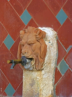 font, leon, aigua, aixeta, art i artesania, representació, mamífer, artesania, escultura, creativitat, cap gent, lleó - felí, estàtua, funció de construcció de parets, dia, arquitectura, temes d'animals, animal, felí, gat, vista d’angle alt, talla - producte artesanal, representació animal, primer pla, 4K, CC0, domini públic, lliure de regalies