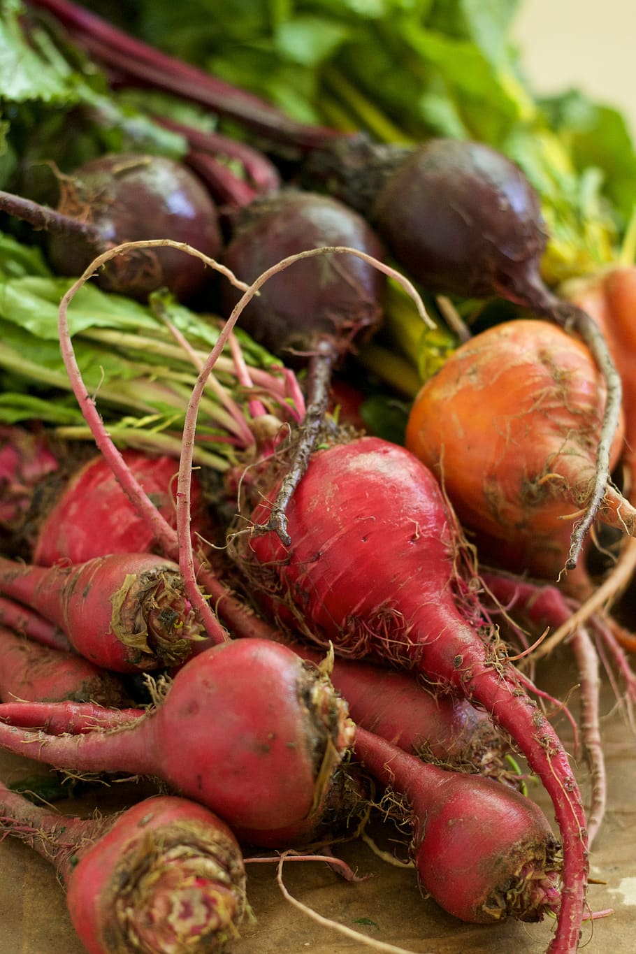 roer, greens, grøntsag, mad og drikke, mad, sund kost, velvære, friskhed, rodfrugt, tæt på, ingen mennesker, rød, fokus på forgrunden, dag, stilleben, rå fødevarer, fælles sukkerroer, organisk, radise, stor gruppe af objekter, løg, grøn farve, majroe, moden, 5K
