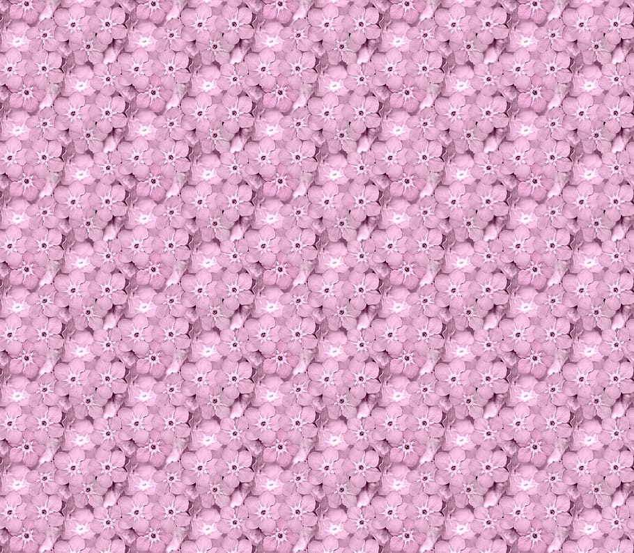 textura, flor, fons, rosa, patró sense fissures, fons sense fissures, plantilla, sense costures, patró, amable, no m'oblidis, motiu floral, floral, delicada, marc complet, cap gent, gran grup d'objectes, repetició, a l'interior, abundància, primer pla, color rosa, Color blanc, porpra, natura morta, full, en fila, forma, metall, llit, 2K
