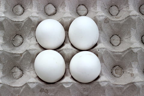 egg, white, easter, food, tradition, eggshell, no people, close-up, egg carton, food and drink, indoors, directly above, freshness, wellbeing, raw food, healthy eating, still life, animal egg, backgrounds, white color, high angle view, full frame, group of objects, fragility, order, 5K, CC0, public domain, royalty free
