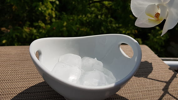 isterninger, skal, sommer, hvid farve, mad og drikke, plante, drikke, kop, natur, krus, fokus på forgrunden, friskhed, forfriskning, tæt på, dag, ingen mennesker, kaffekop, bord, stilleben, kaffe, kaffe - drikke, blomstrende plante, udendørs, porcelæn, alkoholfri drikkevare, svømmepøl, placere mat, 4K, CC0, offentligt domæne, royaltyfrie