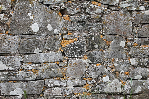 wall, stone, rustic, backdrop, old, texture, pattern, rough, mould, surface, structure, building material, rock, construction, weathered, textured, backgrounds, solid, full frame, wall - building feature, no people, built structure, architecture, stone material, stone wall, stone - object, gray, day, close-up, outdoors, rock - object, cement, concrete, abstract backgrounds, textured effect, 5K, CC0, public domain, royalty free