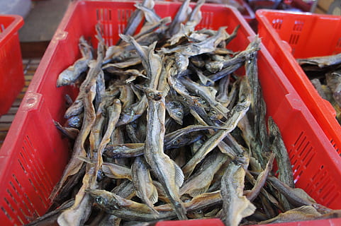 sec, peix, menjar, menjar i beguda, vermell, mercat, abundància, contenidor, gran grup d'objectes, benestar, frescor, alimentació saludable, cap gent, a la venda, venda al detall, dia, marisc, vista d’angle alt, primer pla, negocis, natura morta, a l'aire lliure, menjar xinès, 2K, CC0, domini públic, lliure de regalies