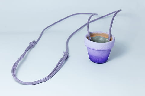 florero, pegar, planta, hecho a mano, foto de estudio, Fondo blanco, adentro, comida y bebida, de cerca, nadie, púrpura, naturaleza muerta, beber, vaso, comida, jarra, frescura, refresco, emoción, centrarse en primer plano, dos objetos, alimentación saludable, bebida caliente, taza de café, 2K, CC0, dominio público, libre de derechos