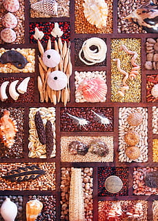 Muscheln, Meer, Schaltier, Urlaub, Schale, Küste, Sommer-, Strand, Perlen, exotisch, Natur, Sand, Reise, Variation, Lebensmittel, Wahl, Süßes Essen, Essen und Trinken, gebacken, Genuss, Frische, Stillleben, Plätzchen, keine Leute, Süss, Weihnachten, drinnen, direkt darüber, große gruppe von gegenständen, Dessert, Fülle, Versuchung, Lebkuchen, 4K