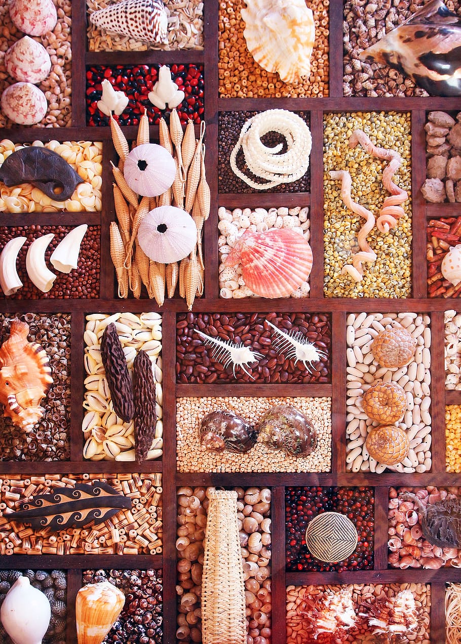 Muscheln, Meer, Schaltier, Urlaub, Schale, Küste, Sommer-, Strand, Perlen, exotisch, Natur, Sand, Reise, Variation, Lebensmittel, Wahl, Süßes Essen, Essen und Trinken, gebacken, Genuss, Frische, Stillleben, Plätzchen, keine Leute, Süss, Weihnachten, drinnen, direkt darüber, große gruppe von gegenständen, Dessert, Fülle, Versuchung, Lebkuchen, 4K