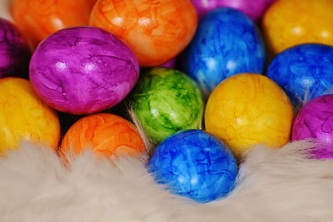uova di Pasqua, uovo, colorato, Pasqua, nido di Pasqua, buona Pasqua, uova colorate, uova sode, uova di Pasqua tinte, multicolore, celebrazione, uovo di Pasqua, variazione, nessuno, cibo, scelta, vacanza, cibo e bevande, avvicinamento, in casa, grande gruppo di oggetti, vacanza - evento, colore vibrante, giallo, blu, viola, holi, 5K, CC0, dominio pubblico, privo di copyright