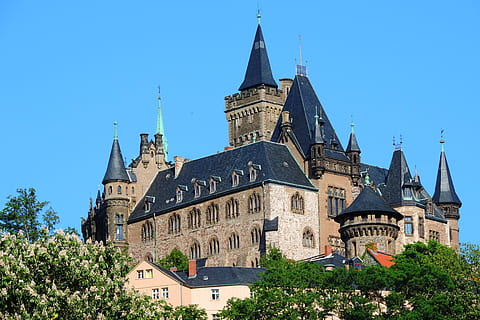 wernigerode, Schloss, Gebäudehülle, gebaute Struktur, die Architektur, Gebäude, Religion, Anbetungsstätte, Himmel, Spiritualität, Glauben, Turm, Baum, klarer Himmel, Pflanze, Natur, Blau, Flachwinkelansicht, die Vergangenheit, Reiseziele, keine Leute, draußen, Gothic Style, 4K, CC0, gemeinfrei, lizenzfrei