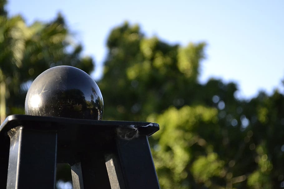 riflessione, sfera, palla, lucido, globo, pianta, concentrarsi sulle conoscenze acquisite, albero, natura, nessuno, avvicinamento, giorno, metallo, all'aperto, cielo, crescita, luce del sole, cielo sereno, colore verde, messa a fuoco selettiva, Inquadratura dal basso, forma, natura morta, color argento, 4K
