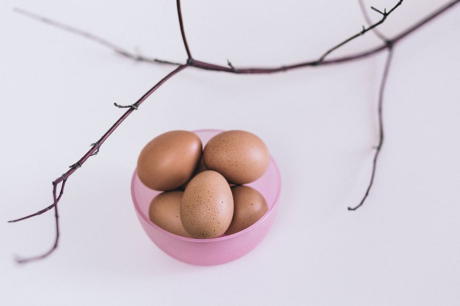 uova, rosa, contenitore, stelo, uovo, cibo, cibo e bevande, benessere, nessuno, in casa, freschezza, girato in studio, mangiare sano, cibo crudo, fragilità, sfondo bianco, avvicinamento, natura morta, vulnerabilità, Marrone, natura, gruppo di oggetti, uovo animale, vista dall'alto, viola, 2K