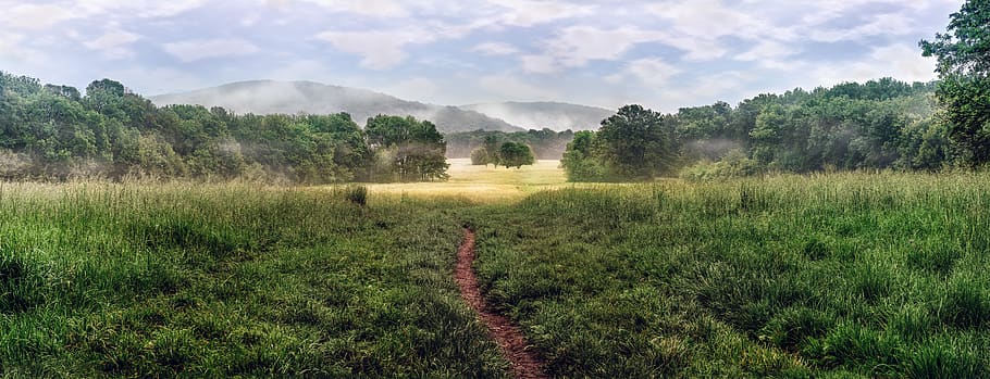 grønt græsfelt, sti, natur, Mark, udendørs, landskab, østrig, græsarealer, wien, hameauweg 31, eng, landskabet, landdistrikterne, panoramisk, græs, gård, jord, picnic, lysning, plante, træ, vækst, ro, ingen mennesker, rolig scene, scenics - natur, himmel, grøn farve, skønhed i naturen, miljø, sky - himmel, dag, landlige scene, ikke-urbane scene, 5K