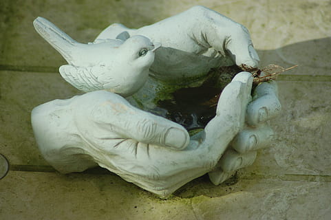drinking trough, bird, hands, sculpture, art and craft, statue, creativity, representation, no people, craft, close-up, day, white color, focus on foreground, human representation, nature, history, the past, indoors, high angle view, 2K, CC0, public domain, royalty free