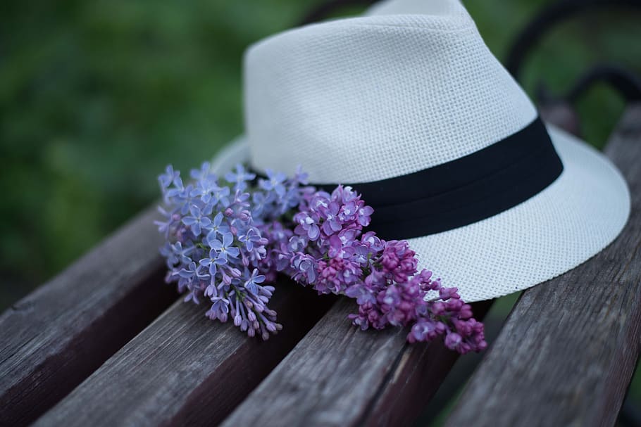 hat, lilla, bænk, blomst, blomstrende plante, plante, træ - materiale, tæt på, natur, selektiv fokusering, dag, fokus på forgrunden, ingen mennesker, friskhed, tøj, udendørs, skønhed i naturen, skrøbelighed, stilleben, lyserød farve, høj vinkel visning, personlige tilbehør, 5K