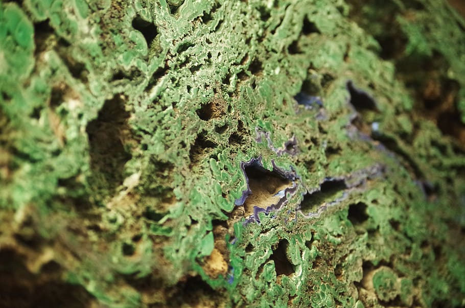 Stein, Mineralien, Textur, Muster, Grün, grüne Farbe, Nahansicht, texturiert, Pflanze, selektiver Fokus, keine Leute, Flechte, Moos, Wachstum, Baum, Vollbild, Baumstamm, Kofferraum, Natur, Hintergründe, Tag, Pilz, Fokus auf den Vordergrund, Tiere in freier Wildbahn, Borke, 4K