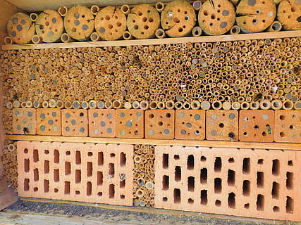 Hintergrund, Muster, Ornament, alt, Wand, Biene, Bienenhotel, einsame Biene, eigenbau, Hotel, Insekt, Natur, Frühling, Sommer-, Naturschutz, Holz, Box, Weinkiste, Blumen, Backstein, wunderschönen, , Entspannen Sie Sich, Garten, Honig, Imker, Mauerwerk, mach es selbst, Naturgarten, basteln, bauen, Bienenstock, Honigbienen, Fluginsekt, summen, Bienenzucht, fliegend, Honigproduktion, beschäftigte Biene, Feld voller Blumen, blühen, blütenmeer, blühender Zweig, frühlingsanfang, Frühlingserwachen, Bienen, Baum, Löwenzahn, Landschaft, Tier, Bienenwabe, Wespe, Hummel, Hornisse, Zimmermann Biene, Marienkäfer, Florfliege, die Architektur, keine Leute, gebaute Struktur, Imkerei, Vollbild, Gebäude, Wandbau - Funktion, Tag, draußen, Hintergründe, wirbellos, Gebäudehülle, Holz - Material, Geschichte, Metall, 4K, CC0, gemeinfrei, lizenzfrei