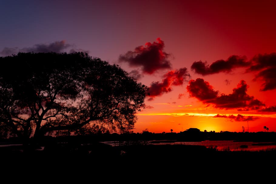 tramonto, albero, silhouette, nuvole rosse incandescenti, drammatico, sole, cielo, blu, nuvole, rosso, luminosa, giallo, natura, arancia, splendore, crepuscolo, colorato, Cloudscape, acqua, bellezza nella natura, scenics - natura, pianta, la tranquillità, scena tranquilla, colore arancione, nuvola - cielo, nessuno, idilliaco, cielo drammatico, scena non urbana, ambiente, all'aperto, paesaggio, terra, cielo romantico, 5K