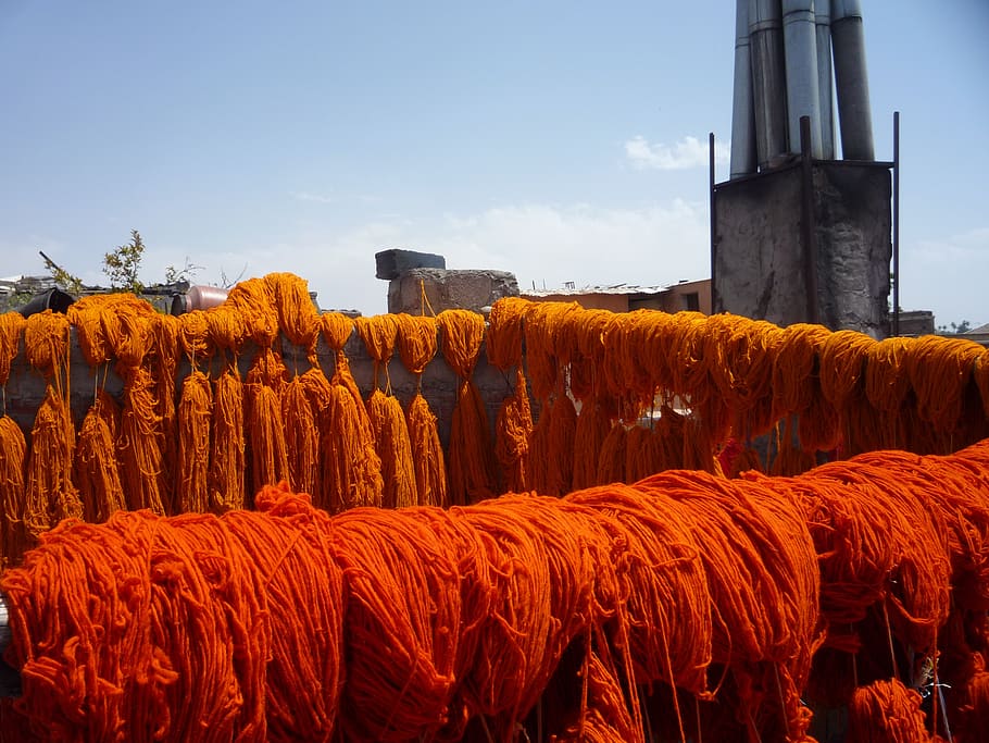 tintura, marroquí, marrakech, cel, dia, cap gent, camp, planta, paisatge, naturalesa, agricultura, terra, escena rural, granja, cultiu, fenc, herba, llum solar, bellesa a la natura, creixement, pila, a l'aire lliure, blat de moro, 2K