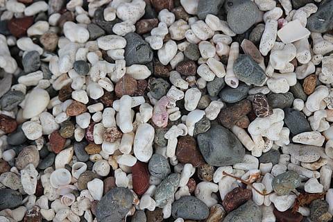 Muscheln, Ozean, Meeresmuschel, Design, Strand Hintergrund, Strand, Sammlung, Vollbild, Hintergründe, Fülle, große gruppe von gegenständen, Stein - Objekt, solide, Rock, Tag, Land, Stein, keine Leute, Natur, Kieselstein, texturiert, Nahansicht, Muster, draußen, Variation, Wahl, 5K, CC0, gemeinfrei, lizenzfrei