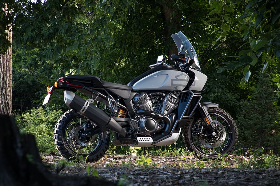 motocicleta gris, moto, transport, vehicle, roda, màquina, motor, bicicleta, Harley Davidson, rotor, bobina, espiral, habitatge, edifici, pneumàtic, casa, vila, va parlar, carretera, grava, manera de transport, vehicle terrestre, arbre, dia, planta, naturalesa, estacionari, terra, camp, creixement, a l'aire lliure, aparcament, cap gent, vista lateral, llum solar, viatjar, color negre, 5K