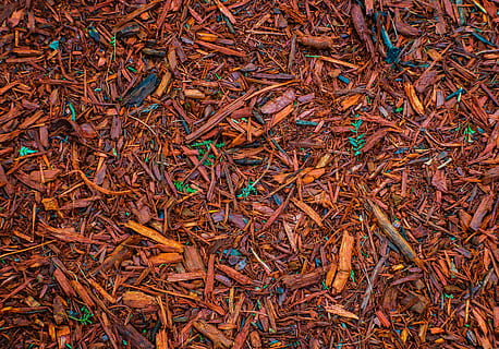 Muster, Formen, Design, bilden, Textur, Dekoration, bunt, Natur, Flora, Hintergründe, Vollbild, keine Leute, Fülle, High Angle View, große gruppe von gegenständen, Tag, trocken, braun, Pflanzenteil, Blatt, Land, Feld, draußen, direkt darüber, Essen und Trinken, Lebensmittel, Stillleben, Pflanze, Veränderung, Blätter, 4K, CC0, gemeinfrei, lizenzfrei