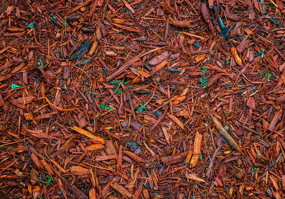 Muster, Formen, Design, bilden, Textur, Dekoration, bunt, Natur, Flora, Hintergründe, Vollbild, keine Leute, Fülle, High Angle View, große gruppe von gegenständen, Tag, trocken, braun, Pflanzenteil, Blatt, Land, Feld, draußen, direkt darüber, Essen und Trinken, Lebensmittel, Stillleben, Pflanze, Veränderung, Blätter, 4K