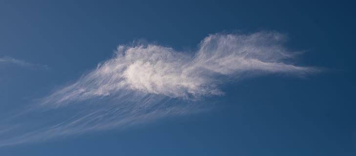 skyer, hvid, blå, fluffy, delikat, mønster, himmel, fugl form, sky - himmel, natur, ingen mennesker, vind, miljø, skønhed i naturen, tjavsede, cloudscape, dag, udendørs, baggrunde, Midt i luften, hvid farve, atmosfære, lav vinkel visning, idyllisk, ro, blødhed, renhed, meteorologi, 2K, CC0, offentligt domæne, royaltyfrie