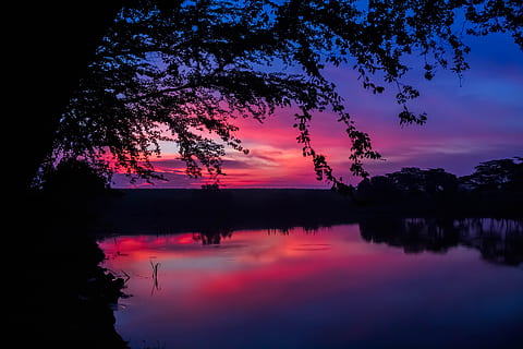 tusmørke, træet, afspejling, vand, træ, himmel, ro, skønhed i naturen, scenics - natur, rolig scene, sø, plante, silhuet, solnedgang, havnefronten, natur, ingen mennesker, sky - himmel, idyllisk, ikke-urbane scene, skumring, lilla, refleksions søen, romantisk himmel, 5K, CC0, offentligt domæne, royaltyfrie
