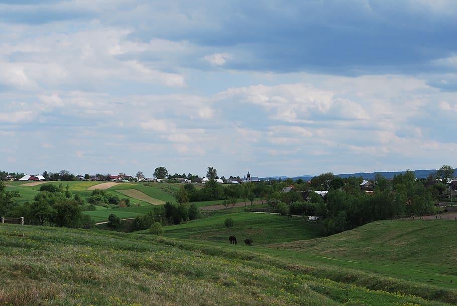 paisatge, primavera, bucovina, cel, planta, medi ambient, núvol - cel, camp, escenics - natura, terra, bellesa a la natura, color verd, arbre, escena tranquil·la, creixement, tranquil·litat, naturalesa, herba, escena rural, dia, cap gent, agricultura, a l'aire lliure, 4K