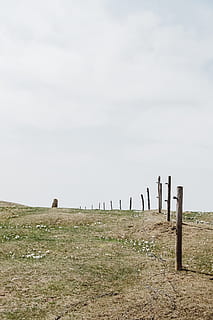 verde, hierba, nubes, naturaleza, al aire libre, pradera, campo, suelo, rural, granja, pasto, prado, rancho, papel pintado, edificio, cerca, planta, la carretera, camino de tierra, grava, cielo, tierra, límite, barrera, escena tranquila, tranquilidad, paisaje, nube - cielo, enviar, material de madera, día, ambiente, nadie, belleza en la naturaleza, poste de madera, paisajes - naturaleza, 2K, CC0, dominio público, libre de derechos