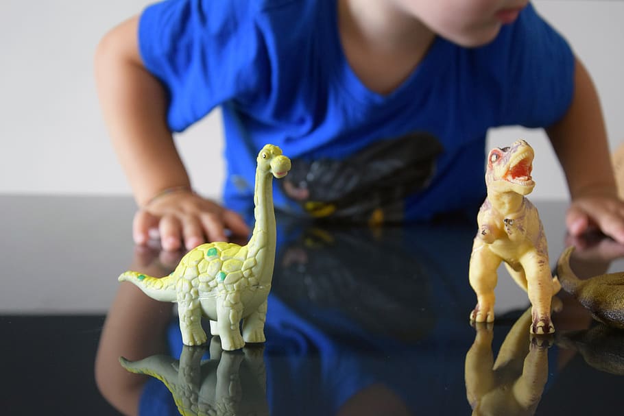 dinosaure, maqueta, fons, reflexió, creatiu, disseny, espai, escriptori, taula, decoració, art, decoratiu, aquila, t-rex, animals, juràssic, mock up, artístic, ornamentals, burro, joc, jugar, nen, nens, dinosaures, celebració, infància, una persona, a l'interior, menjar, secció mitjana, menjar i beguda, vista frontal, descendència, homes, estils de vida, nois, centrar-se en primer pla, mascles, roba casual, la vida domèstica, part del cos humà, 5K