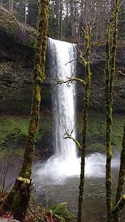 vandfald, Oregon, skønhed i naturen, scenics - natur, Skov, lang eksponering, træ, natur, flydende vand, vand, plante, bevægelse, jord, miljø, ingen mennesker, ikke-urbane scene, dag, rolig scene, ro, udendørs, magt i naturen, flyder, regnskov, faldende vand, 4K, CC0, offentligt domæne, royaltyfrie