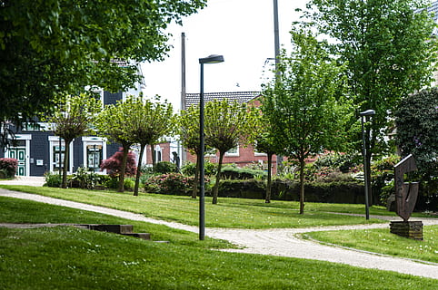 stormloop, boom, gras, fabriek, groene kleur, architectuur, ingebouwde structuur, natuur, buitenkant van het gebouw, groei, dag, park, geen mensen, voetpad, buitenshuis, hemel, park - door de mens gemaakte ruimte, straatlantaarn, stad, straat, gebouw, 4K, CC0, publiek domein, royaltyvrij