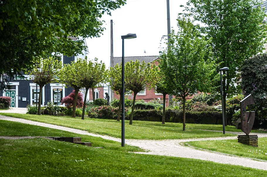 stormloop, boom, gras, fabriek, groene kleur, architectuur, ingebouwde structuur, natuur, buitenkant van het gebouw, groei, dag, park, geen mensen, voetpad, buitenshuis, hemel, park - door de mens gemaakte ruimte, straatlantaarn, stad, straat, gebouw, 4K