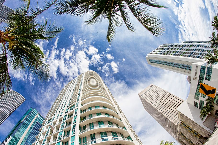 Städte, Miami, Palme, tropisches Klima, die Architektur, Gebäudehülle, große Höhe, gebaute Struktur, Baum, Stadt, Gebäude, Himmel, Natur, Bürogebäude außen, Wolkenkratzer, Flachwinkelansicht, Tag, Pflanze, wolke - himmel, Turm, keine Leute, modern, draußen, Kokospalme, direkt darunter, Palmblatt, 4K