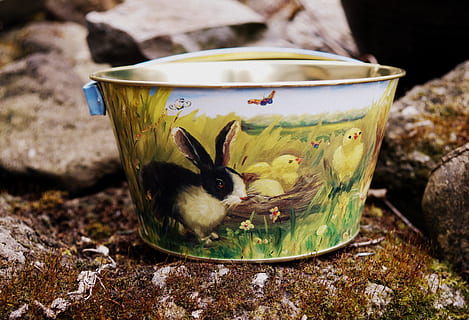 osterkorb, osterkörbchen, Ostern, Osterdekoration, Osterhase, Tier, Tierthemen, ein Tier, keine Leute, Nahansicht, Haustiere, Natur, Tierwelt, Fokus auf den Vordergrund, Wirbeltier, Säugetier, draußen, Container, inländisch, Tag, Wasser, Tiere in freier Wildbahn, Porträt, Blumenmuster, Whisker, 4K, CC0, gemeinfrei, lizenzfrei