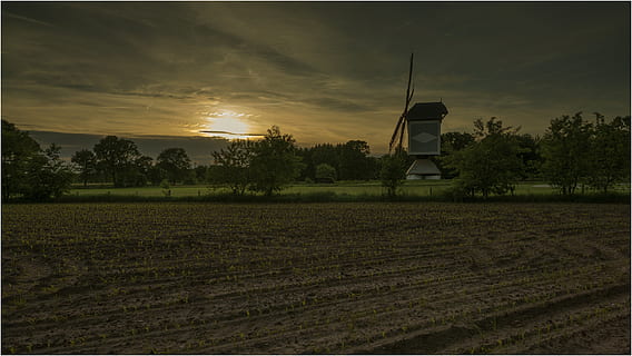 wind mill, sunset, landscape, twilight, dutch, evening, sun, field, plant, land, environment, cloud - sky, sky, rural scene, scenics - nature, tree, growth, beauty in nature, nature, agriculture, farm, no people, tranquil scene, tranquility, environmental conservation, outdoors, plantation, 5K, CC0, public domain, royalty free
