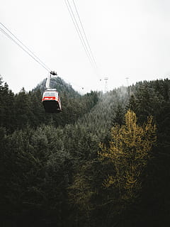 funivia, Canada, urla di montagna, mezzi di trasporto, veicolo, treno, pianta, albero, conifera, abete, abies, autobus, corda, larice, pino, abete rosso, barca, gondola, aliante, aereo, cielo, modo di trasporto, natura, funivia aerea, cavo, crescita, terra, nessuno, giorno, sciovia, all'aperto, foresta, viaggio, bellezza nella natura, cielo sereno, connessione, elettricità, 4K, CC0, dominio pubblico, privo di copyright